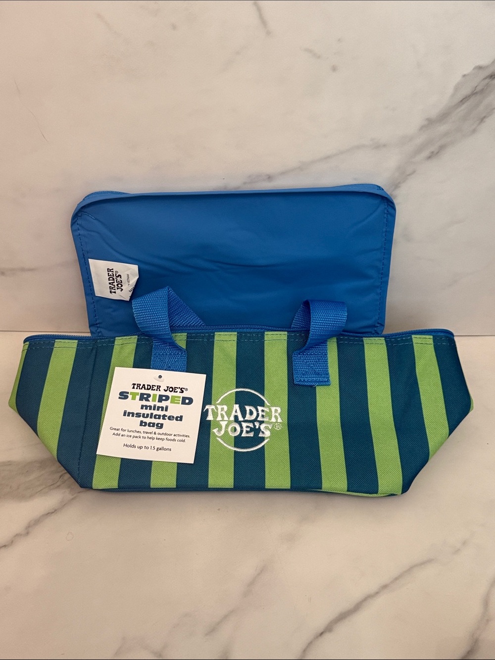 Trader Joe's Striped Mini Insulated Bag - Blue & Green (May 2026 drop)